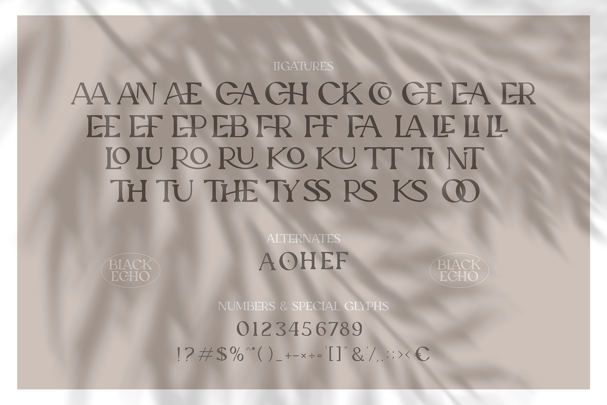 Black Echo Modern Ligature Font, a Font by AndrewPixelType (Photo 12 of 12)