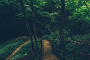 Nature Photo Pack, a Nature Photo by baker2512 (Thumbnail 3 of 20)