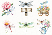 Summer Dragonfly Garden Clipart, an Illustration by OK Design (Thumbnail 3 of 5)