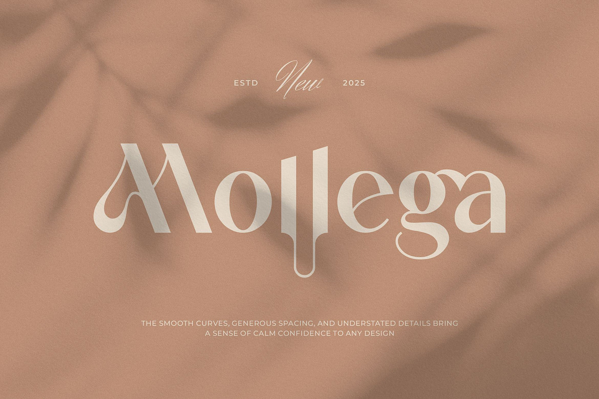 Mollega || Minimalist Sans Serif, a Sans Serif Font by Ermedia Studio (Photo 1 of 10)