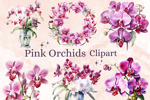 Watercolor Pink Orchid Flowers Set