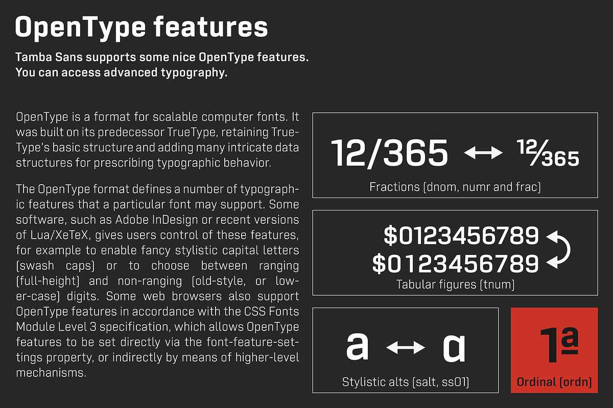 Tamba Sans, a Sans Serif Font by Dharma Type (Photo 9 of 12)
