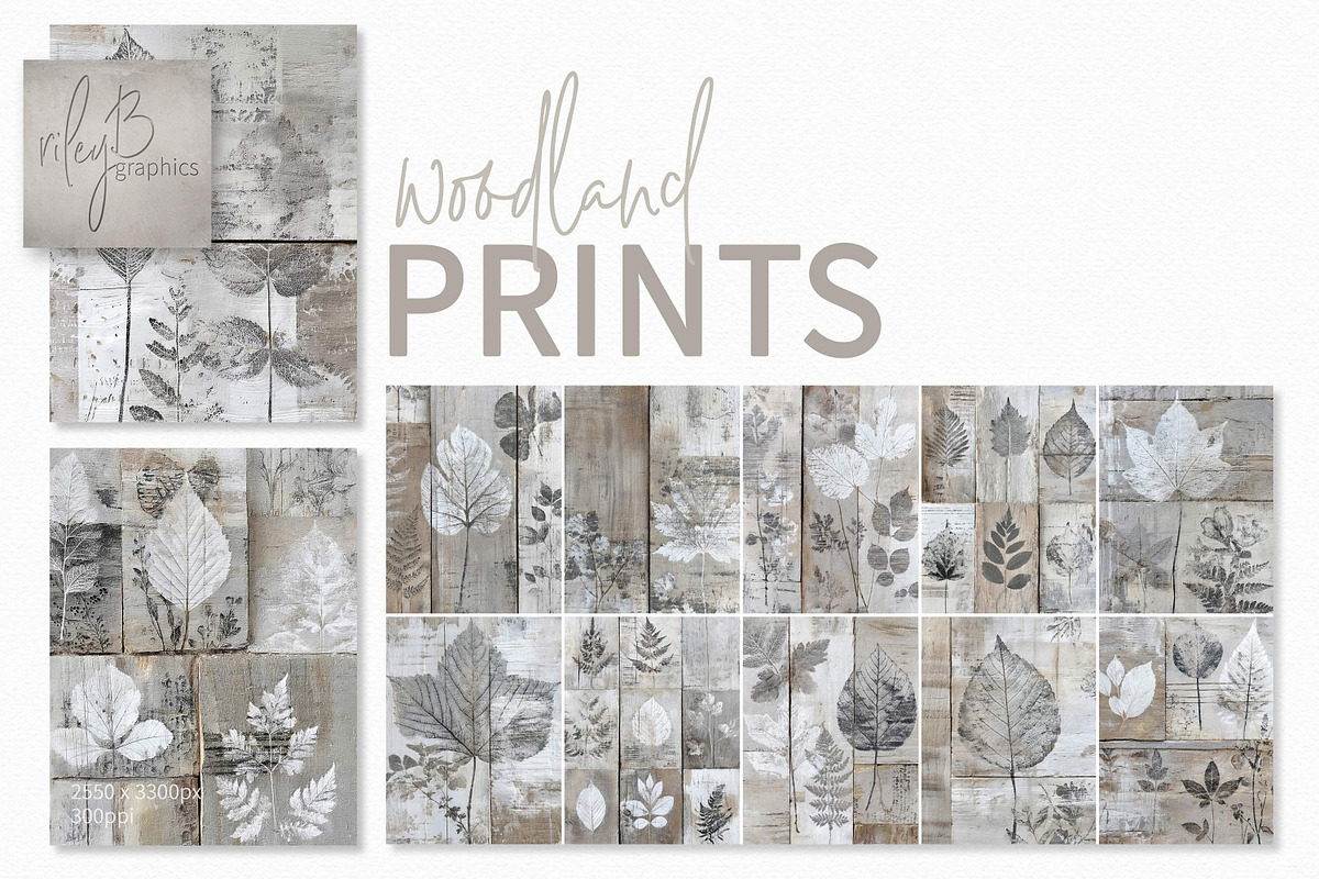 Woodland Prints, a Decorative Illustration by rileyBgraphics (Photo 1 of 6)