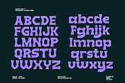 Rapid ( New Font ), a Serif Font by HRDR (Thumbnail 9 of 11)