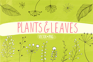 40 plants and leaves elements