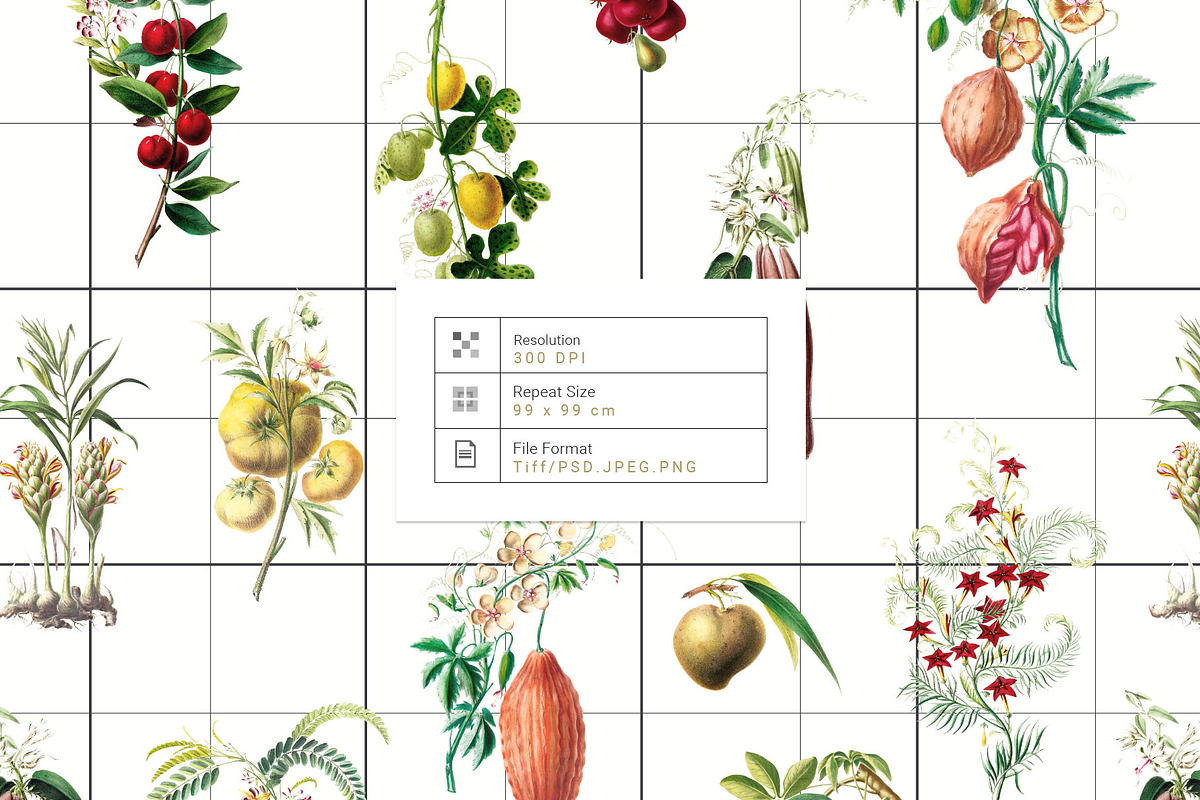 Herbarium Collection prints & more!, a Pattern Graphic by Pink Linen (Photo 6 of 15)