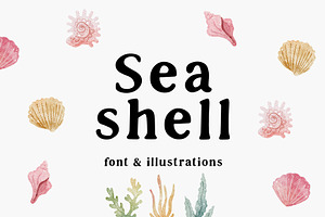 Sea Shell Font & Illustrations