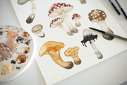 Mushrooms Watercolor Clipart, an Education Illustration by Ooh Lily (Thumbnail 7 of 8)