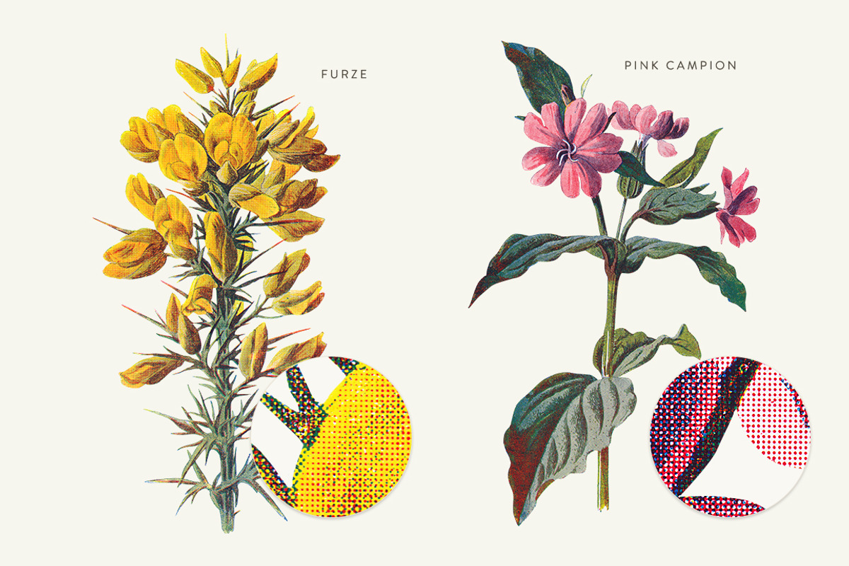 Vintage Flowers Vol.01 - Extra Large, an Illustration by Greta Ivy (Photo 7 of 18)