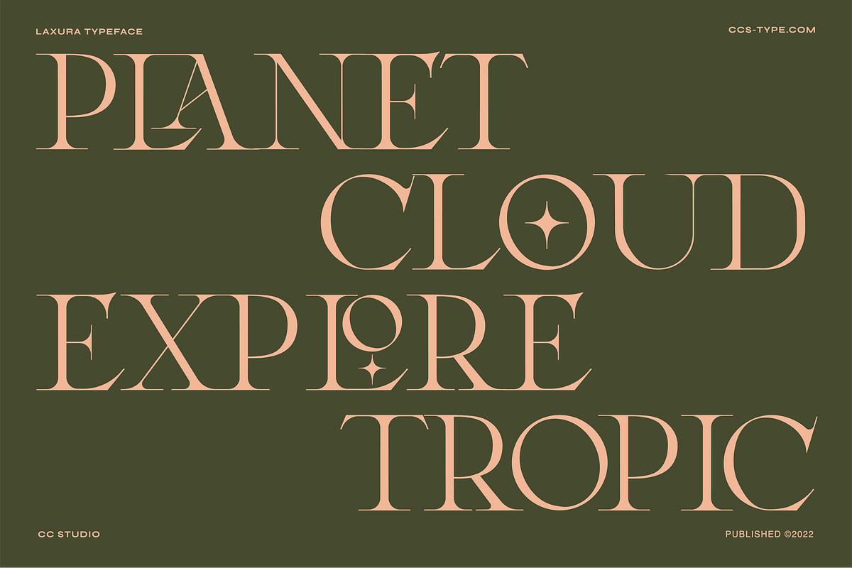 Laxura – Elegant Ligature Serif Font, a Serif Font by CCS Type (Photo 13 of 16)