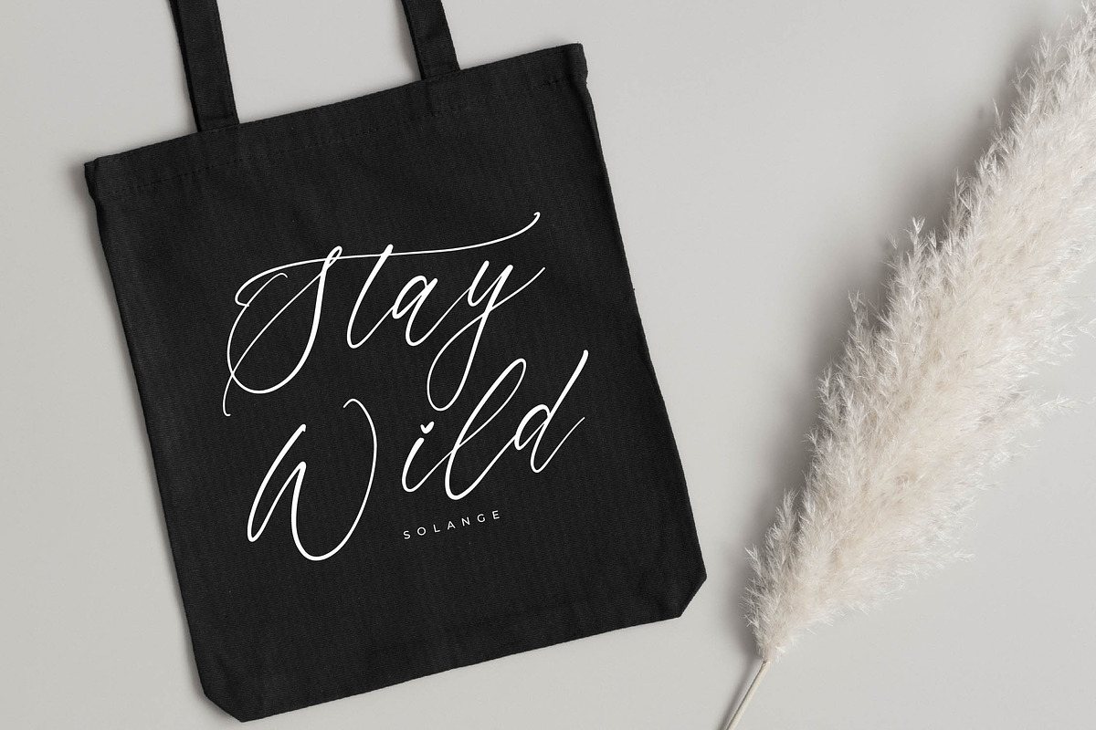 Saltngos Modern Calligraphy, a Script Font by Letterena Studios Script (Photo 9 of 15)