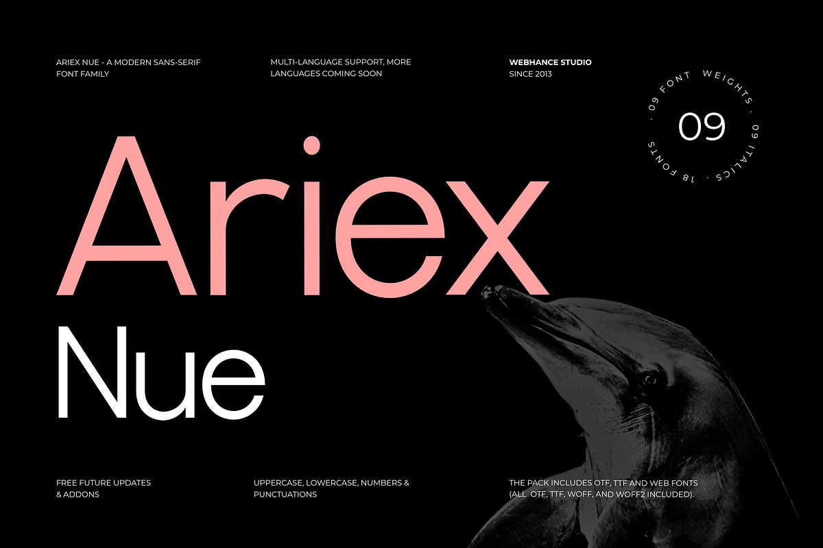 Ariex Nue - A Minimal Sans-serif, a Sans Serif Font by Webhance Studio (Photo 1 of 12)