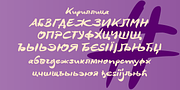 DeBorstel Brush Pro, a Script Font by ingoFonts (Thumbnail 5 of 7)