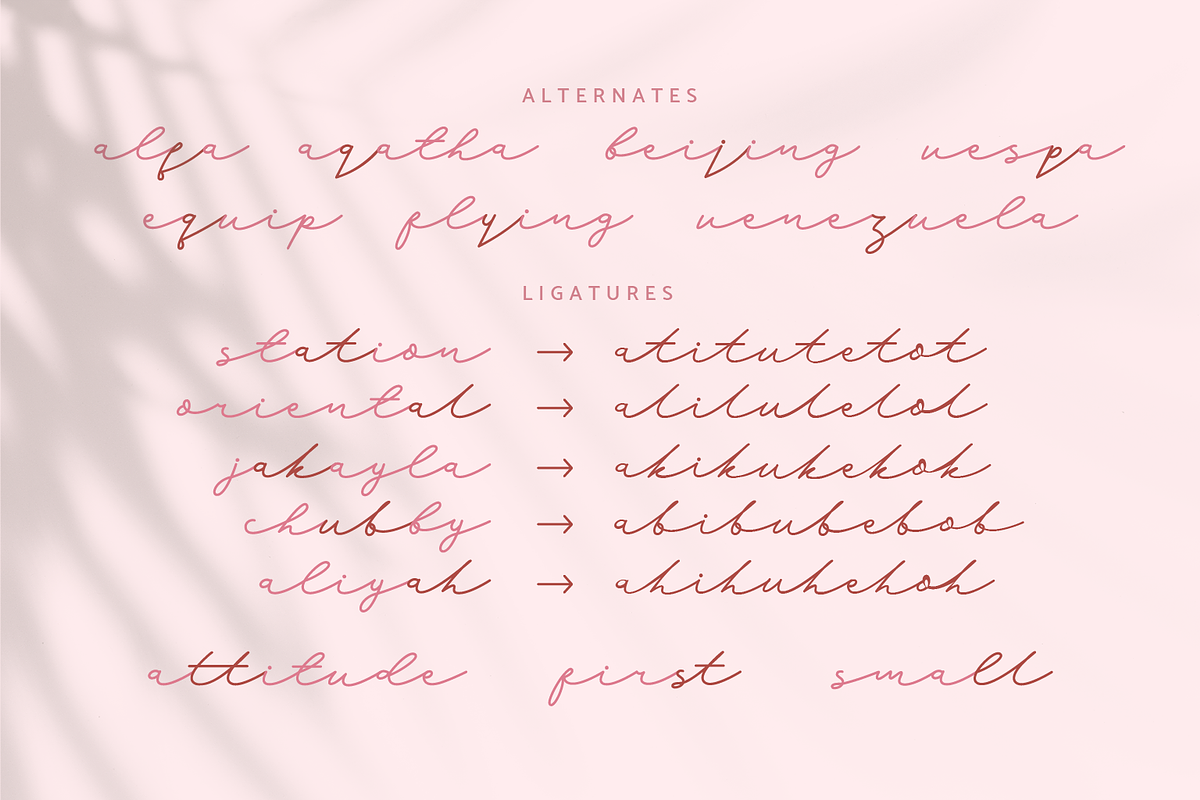 Hello Austen | Script Font, a Script Font by Suntype | Sunshine Std (Photo 3 of 8)