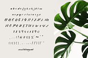 alamanda font, a Script Font by Mariyana (Thumbnail 6 of 6)