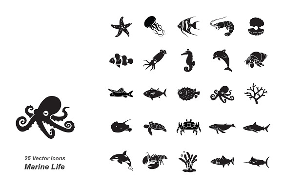 Marine Life Vector Icons