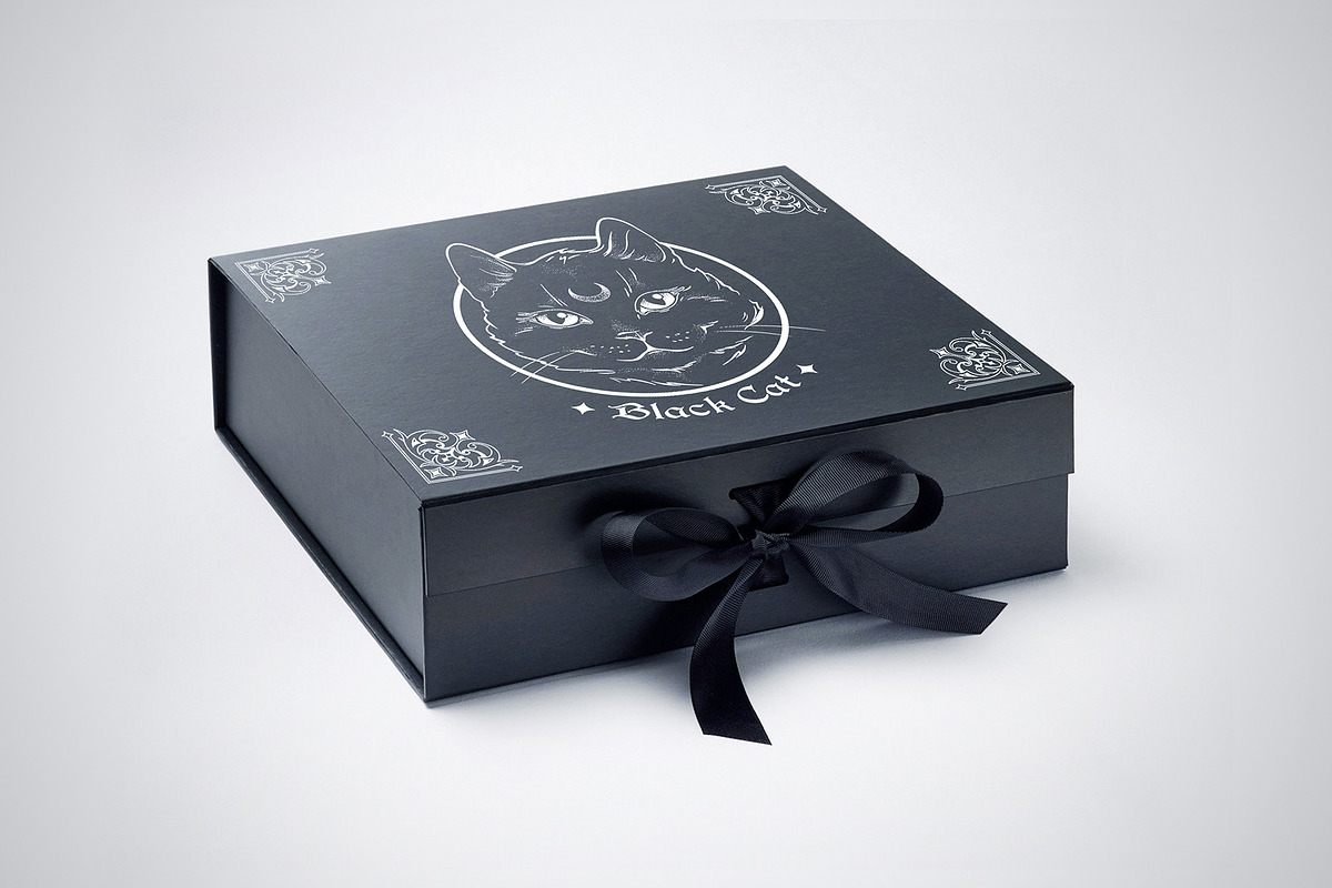 Black Cat, an Animal Illustration by Croisy (Photo 4 of 5)