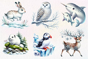Watercolor Arctic Animals Clipart, an Illustration by Dream Creation (Thumbnail 6 of 8)