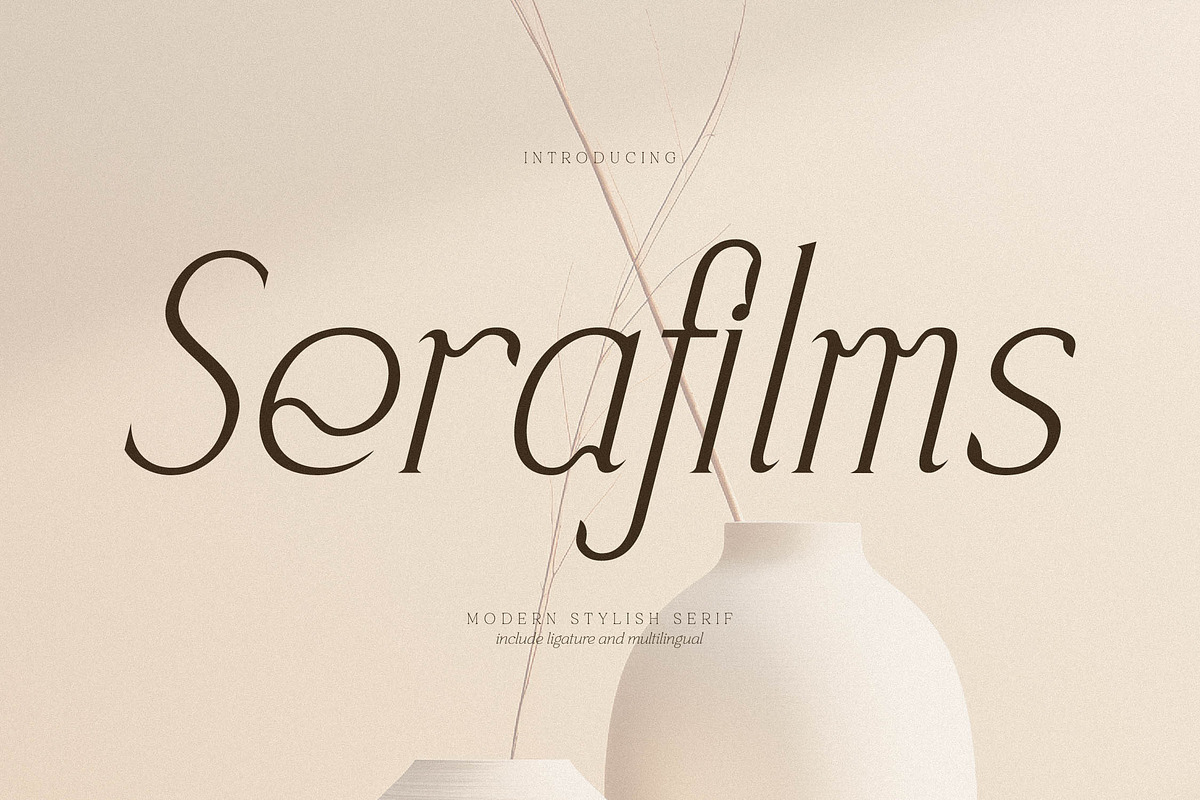 Serafilms Modern Stylish Serif, a Serif Font by Storytype Studio (Photo 1 of 15)