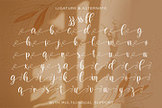 Dilan Whemsy - Modern Script Font, a Script Font by StringLabs (Thumbnail 10 of 11)