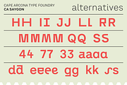 CA Saygon, a Sans Serif Font by Cape Arcona Type Foundry (Thumbnail 4 of 5)