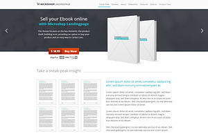 MicroShop Landingpage