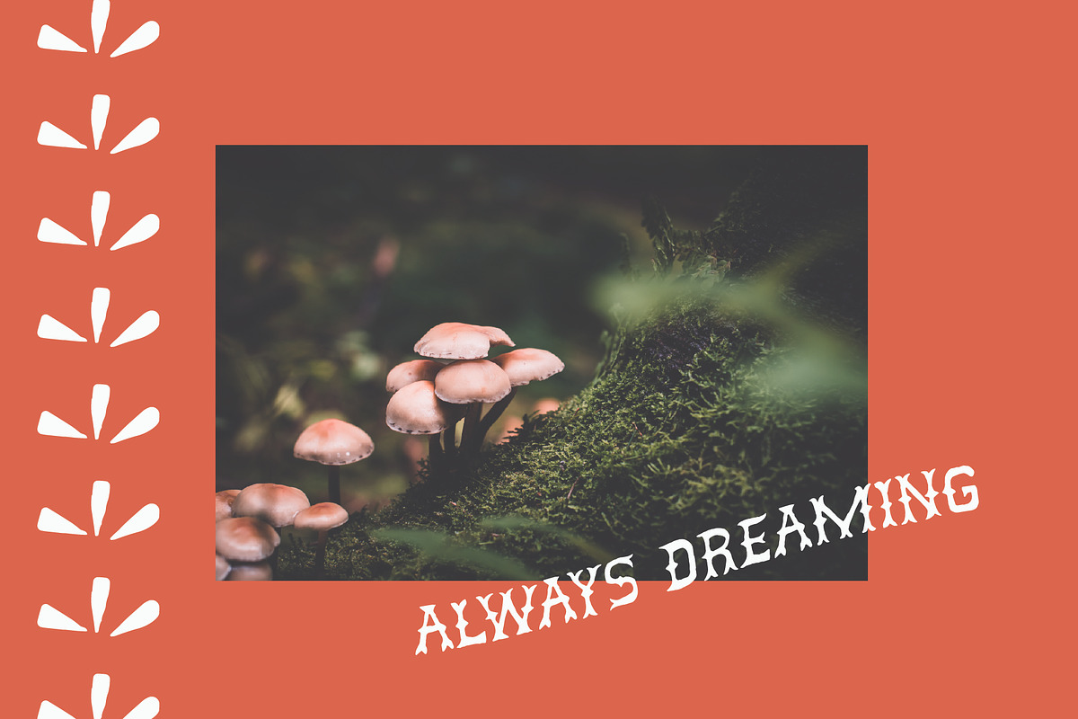 In the Meadow, a Serif Font by Midnight Grim (Photo 4 of 8)
