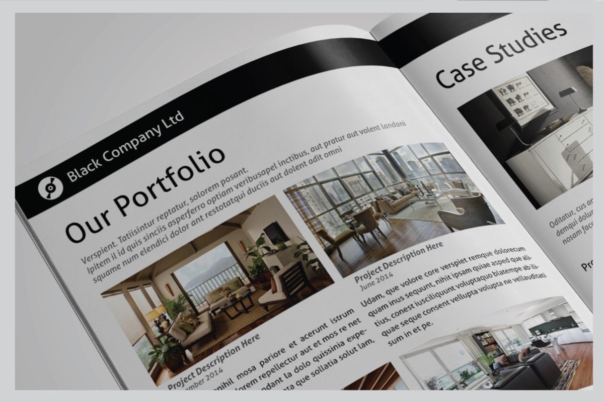 Business Proposal Template, a Brochure Template by voryu (Photo 4 of 5)