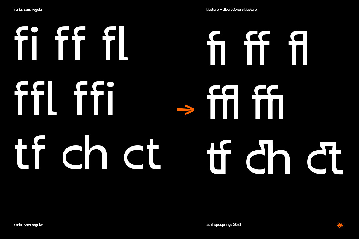Renial Display, a Sans Serif Font by rejazer (Photo 5 of 11)