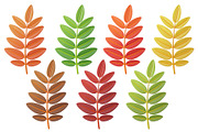 Cute 3D Autumn Leaves, a Plants & Tree 3D Model by Hannet (Thumbnail 5 of 14)