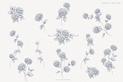 Hydrangea line art flowers, an Object Illustration by Sensual Art (Thumbnail 3 of 9)