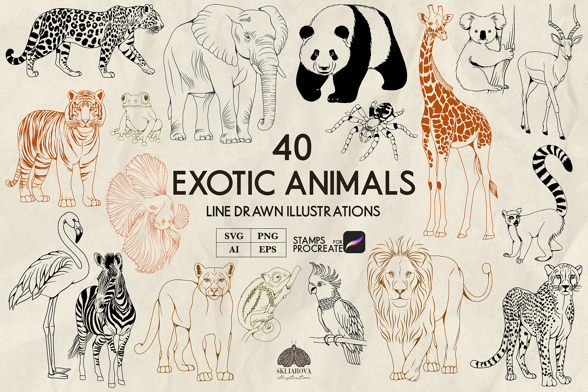 Exotic Animals Line Art + Procreate, an Illustration by Skliarova (Photo 1 of 3)