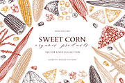 Sweet Corn. Vector Food Collection, a Food Illustration by Yevheniia (Thumbnail 1 of 6)