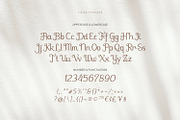 Fielke - Decorative Type, a Serif Font by ikiiko (Thumbnail 5 of 7)