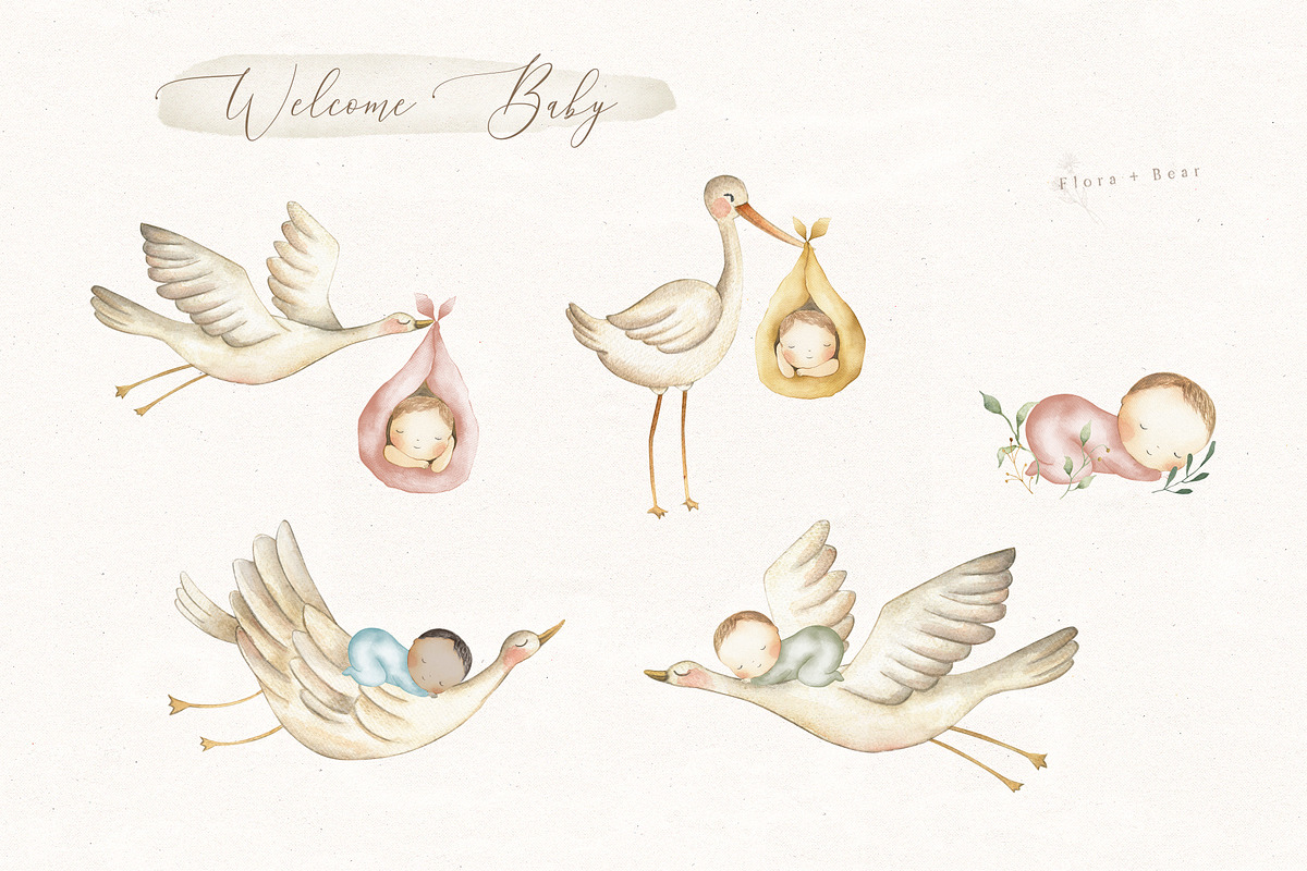 Welcome Baby, an Illustration by Flora+Bear (Photo 4 of 7)