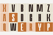 Amvergo Modern Sans Family, a Sans Serif Font by Lettertype Studio (Thumbnail 8 of 18)