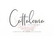 Cattalonia Signature Font, a Script Font by Pen Culture (Thumbnail 1 of 11)