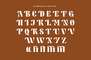 Aesth, a Slab Serif Font by HATFSTUDIO (Thumbnail 9 of 9)
