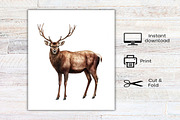 Watercolor Vintage Woodland Clipart, an Illustration by Canvas Craft (Thumbnail 7 of 7)