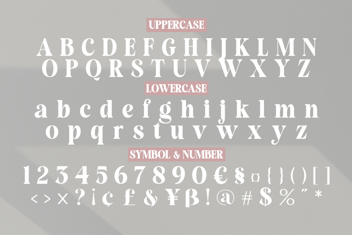 Rangile, a Serif Font by studiobasic (Photo 8 of 10)