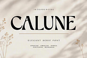 CALUNE, a Serif Font by Pitchlook.Studio (Thumbnail 1 of 5)