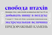 Gwen, a Serif Font by Fontfabric (Thumbnail 3 of 4)