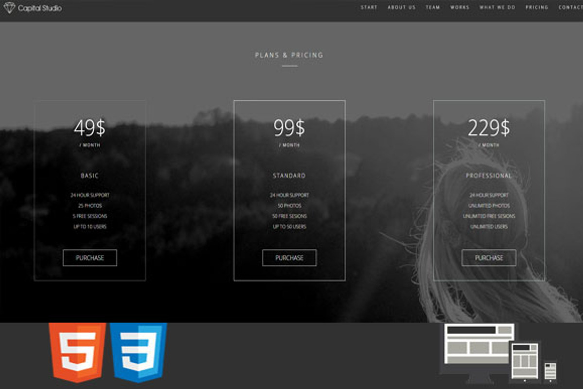 Capital One/MultiPage HTML Template, a Landing Page Template by earthquake (Photo 7 of 7)