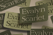 Belinzie Vintage, a Serif Font by Craft Supply Co. (Thumbnail 3 of 8)