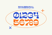 Drip Haus Slab Serif Font, a Slab Serif Font by Heinzel Std (Thumbnail 5 of 11)