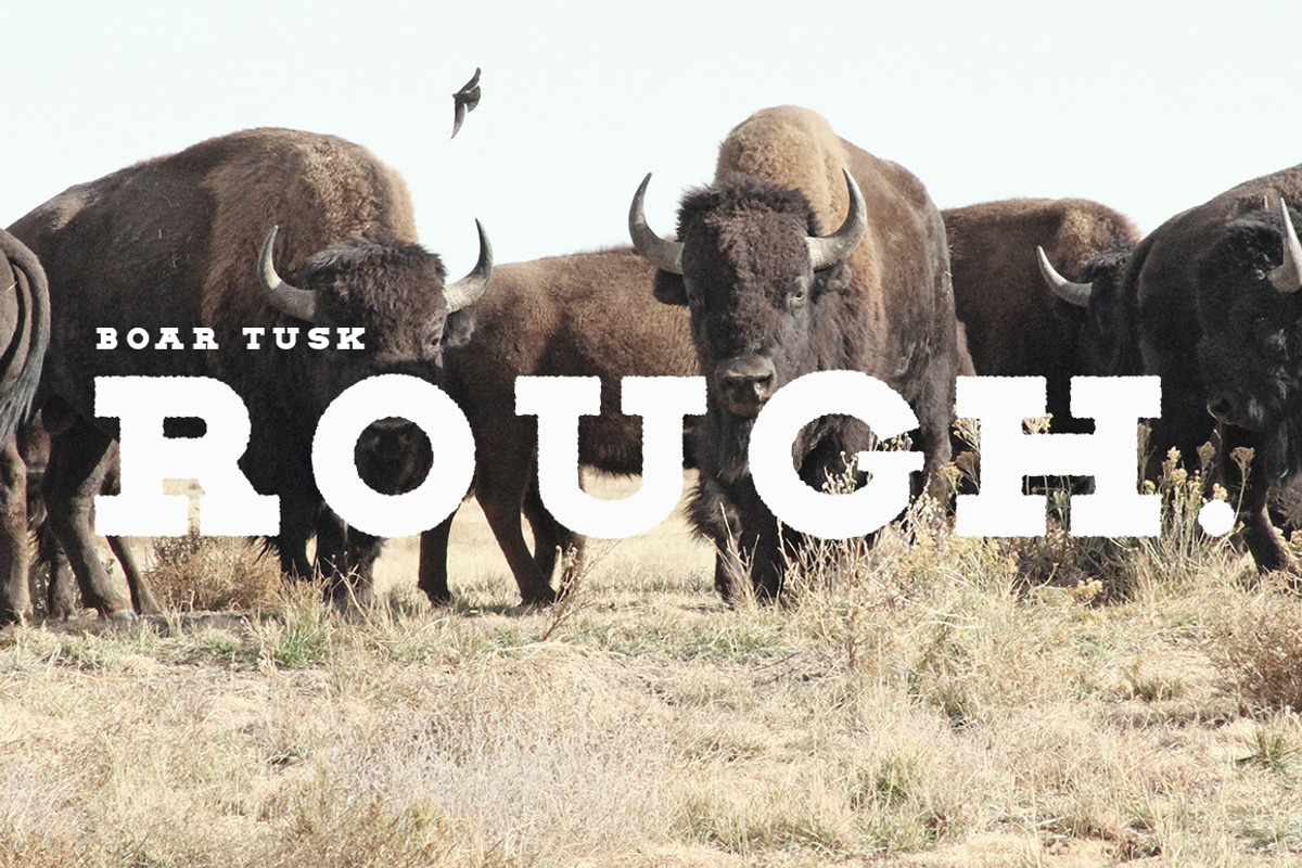BOAR TUSK Font Family preview 7