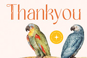 Bemgola Modern Display Serif, a Serif Font by timelesstype.co (Thumbnail 20 of 20)