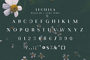 The Elegant Serif Font Bundle, a Serif Font by Zone 6 (Thumbnail 10 of 14)
