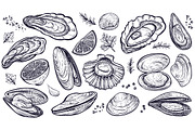Vector sketch of Shellfish & Oysters, an Object Graphic by Aquatinta (Thumbnail 2 of 11)