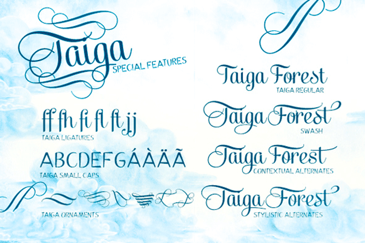 Taiga -60% off! preview 2
